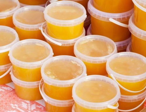 Honey wholesale from 100 kg